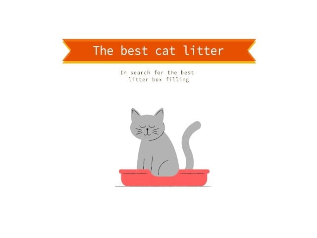 Wat is de beste Katten&shy;bak&shy;vulling?